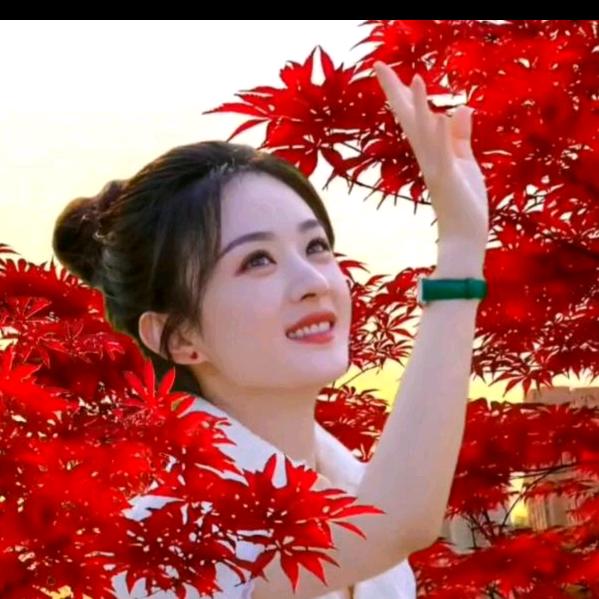 暖心好物