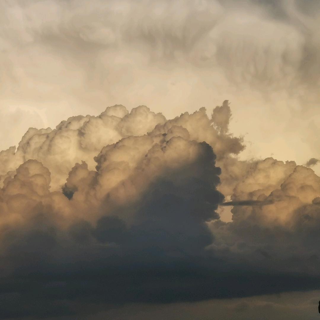 (๑Ő௰Ő๑)此生(｢･ω･)｢唯一$