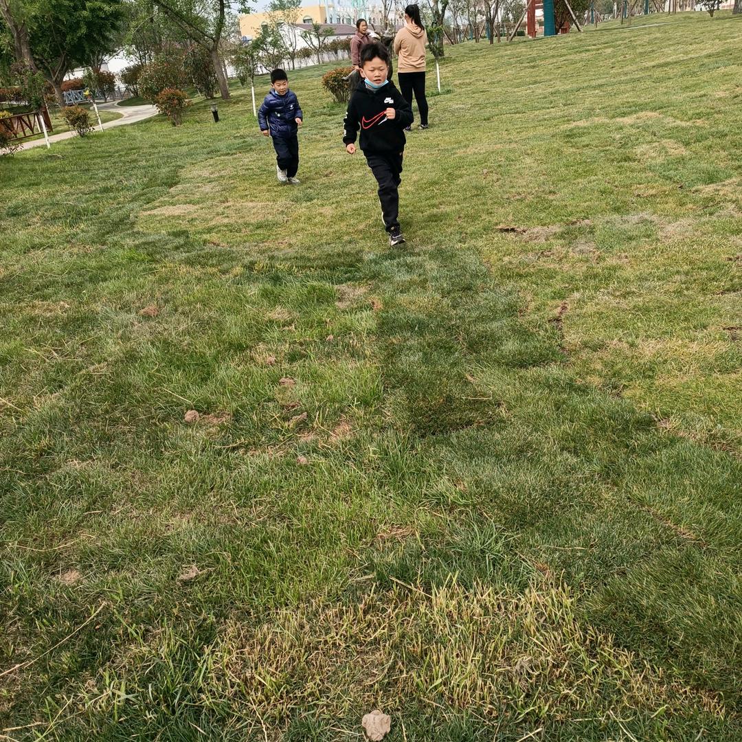 秀和纯棉袜子铺