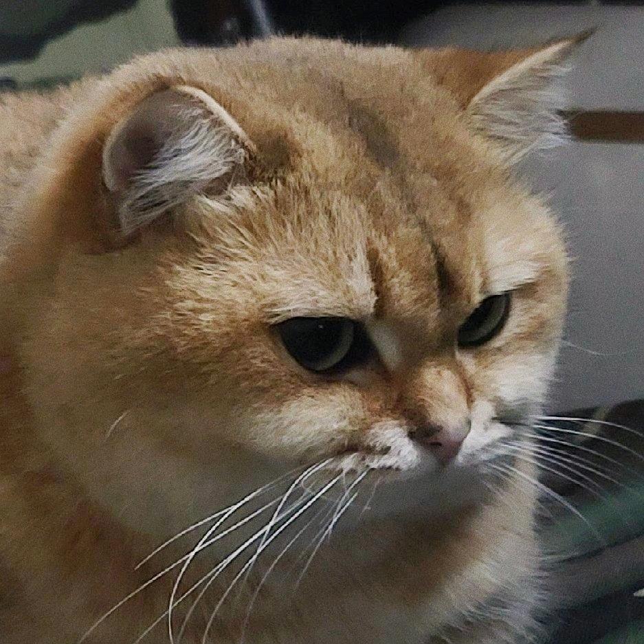 土特产.
