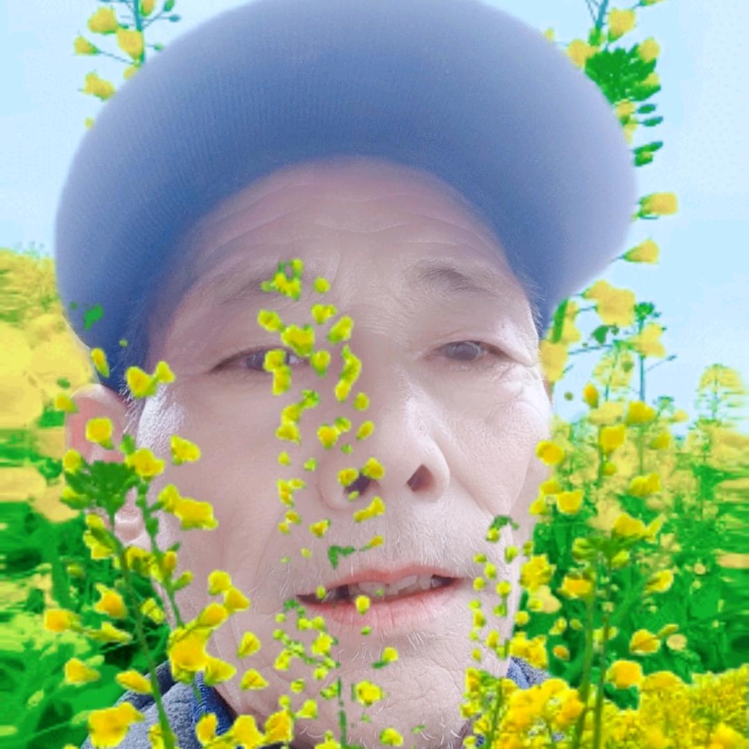 王坤哥