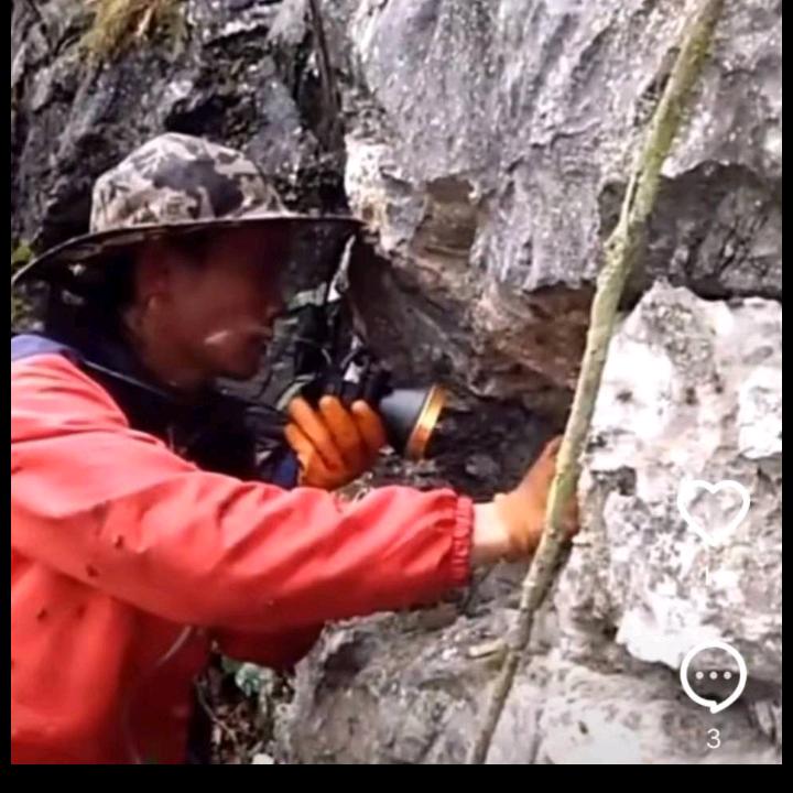 辉哥纯正野生蜂蜜