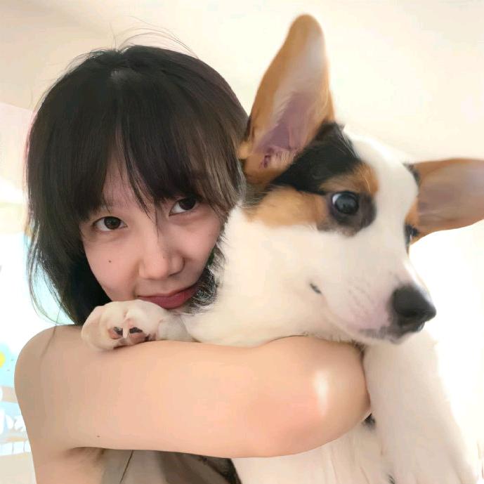 云鹤衫，