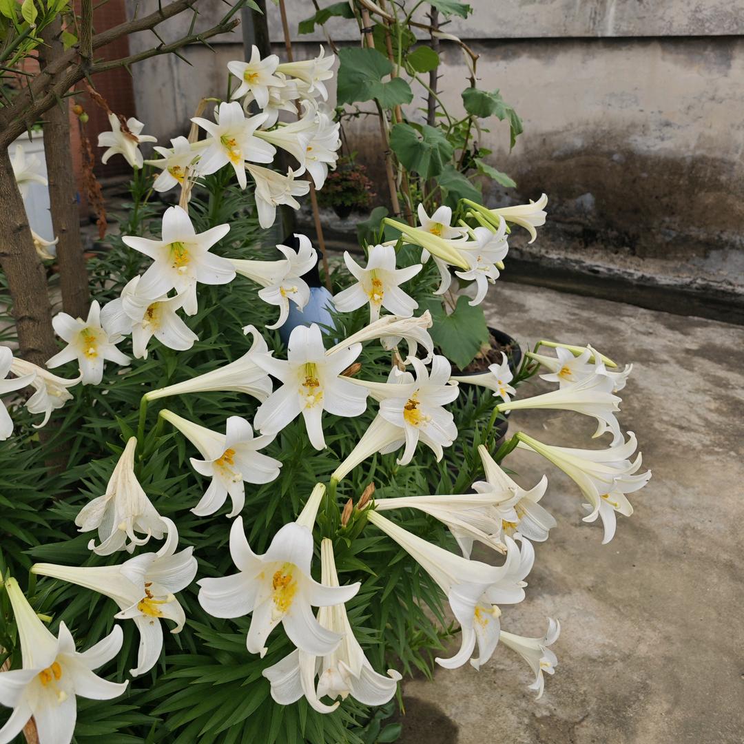 用户8875578302031993