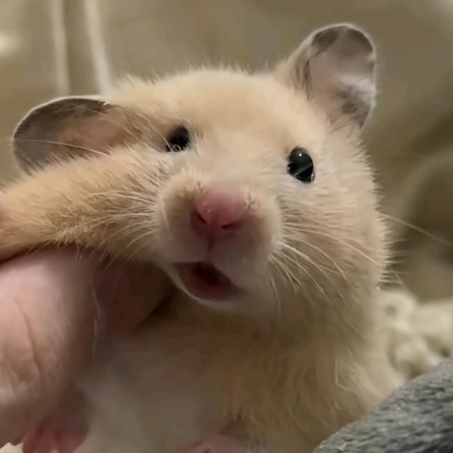 碧玺