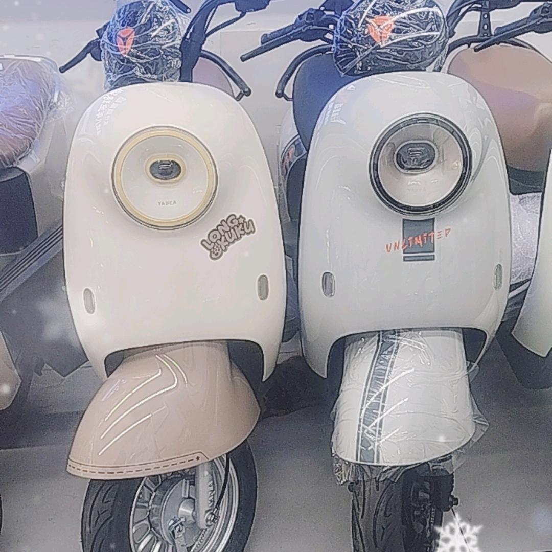 虹口区广灵四路565号雅迪