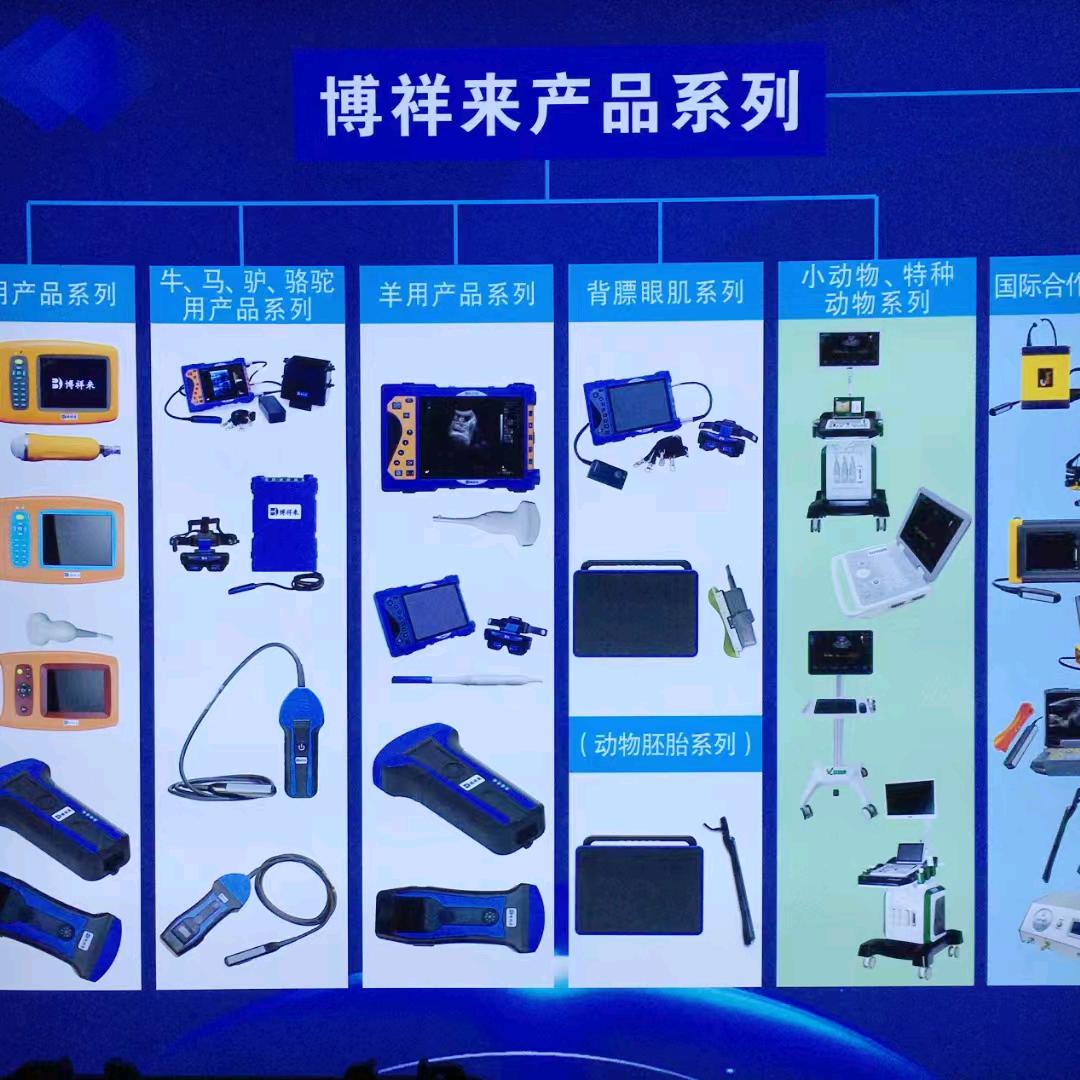 博祥来兽用B超厂家