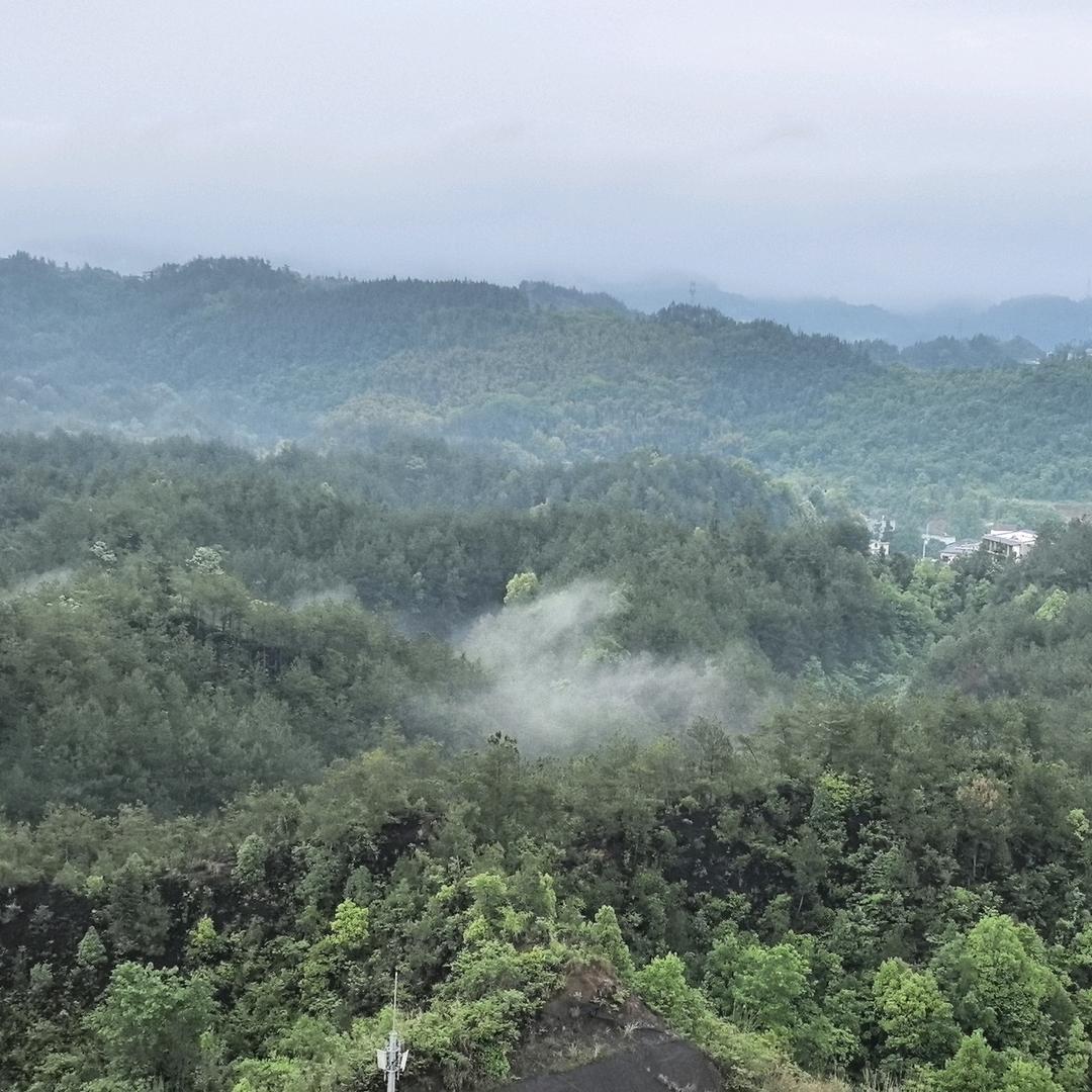 上上电缆、红旗电缆厂家