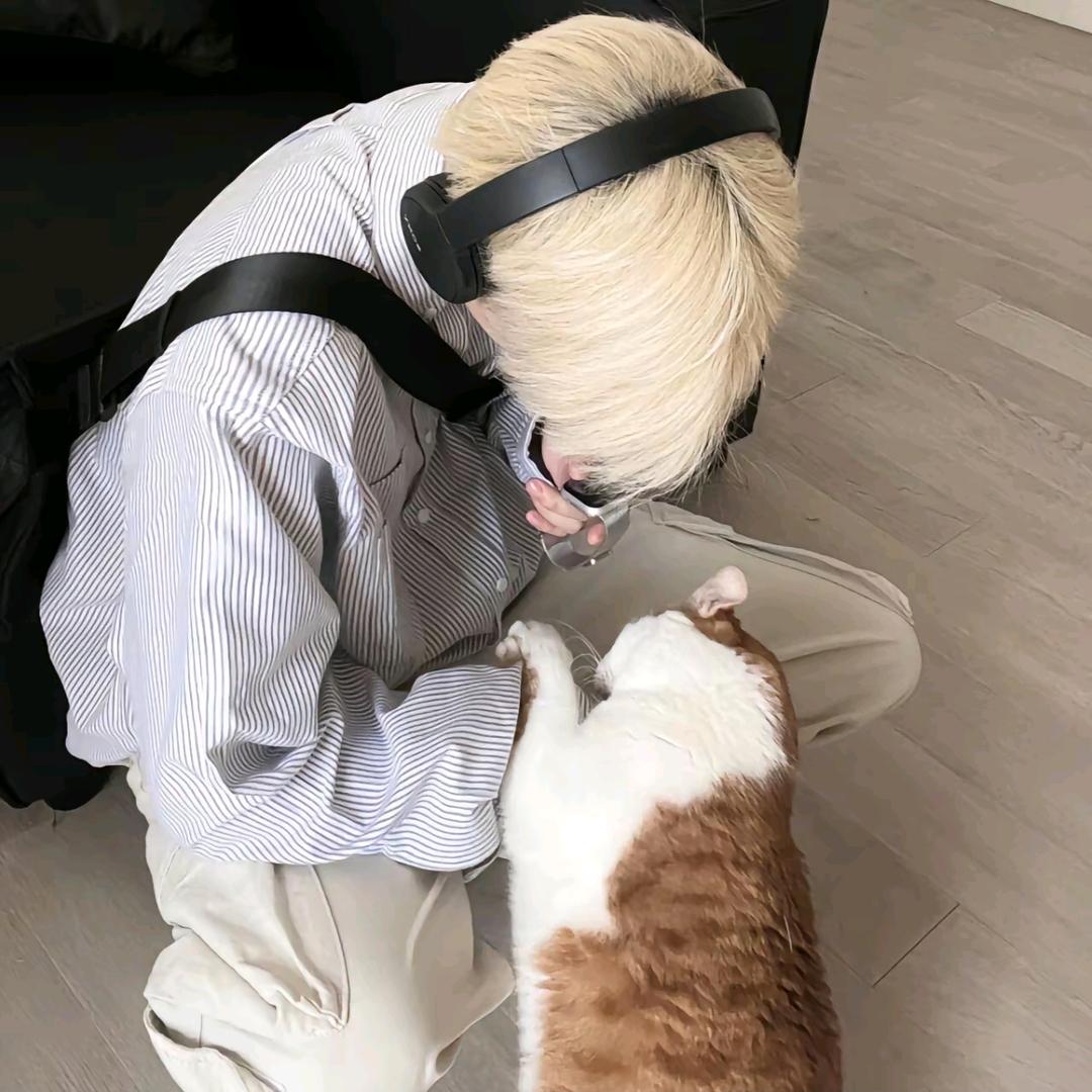 Z总