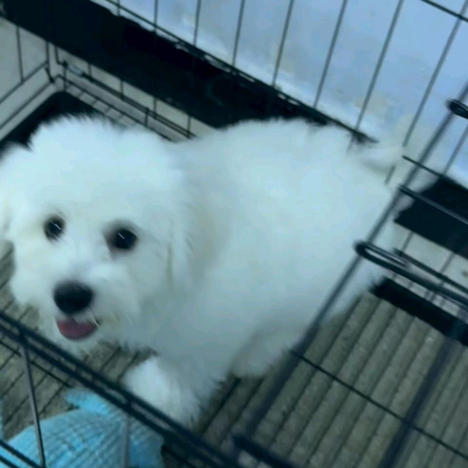 ^每天都好困