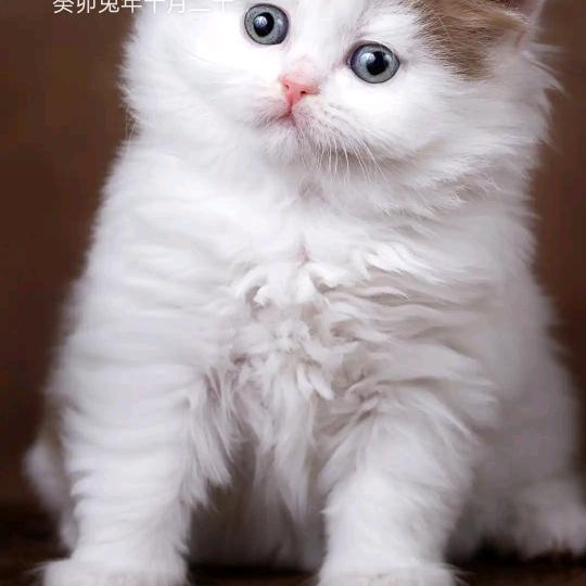 1324