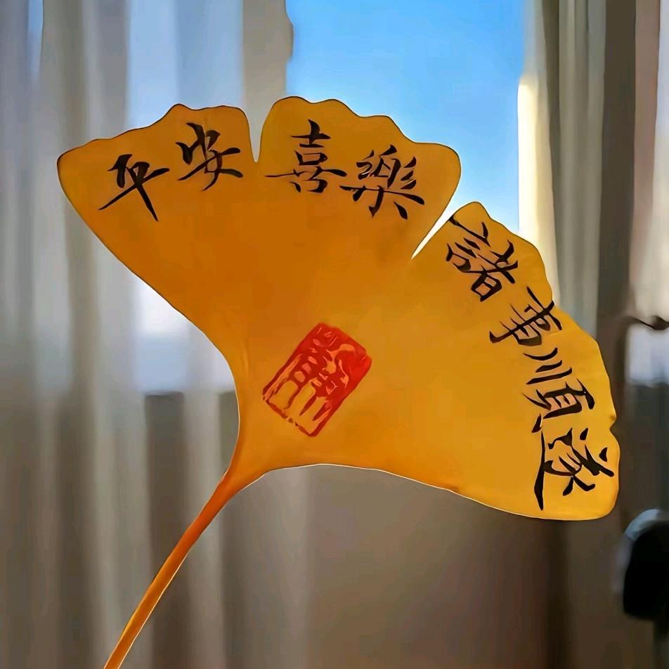 沈大慧🌸