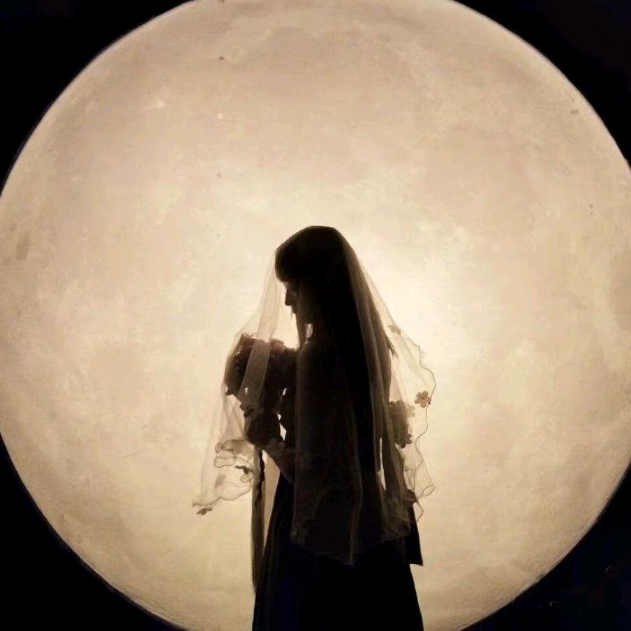 一轮卿月🌙