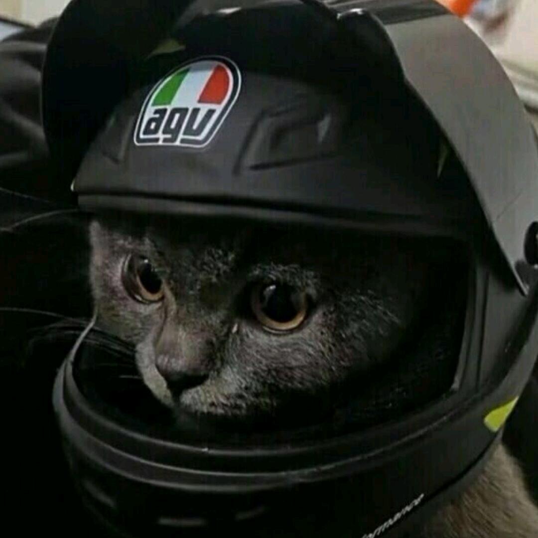 阿苍
