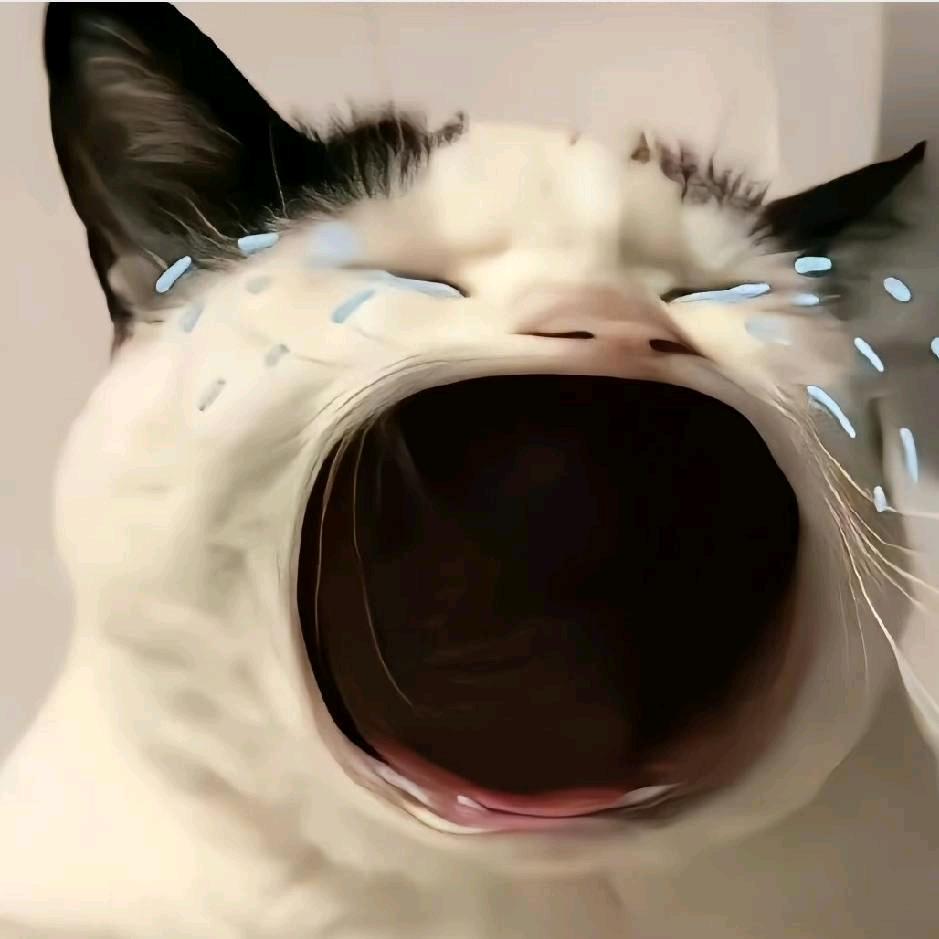 睡个懒觉⁸