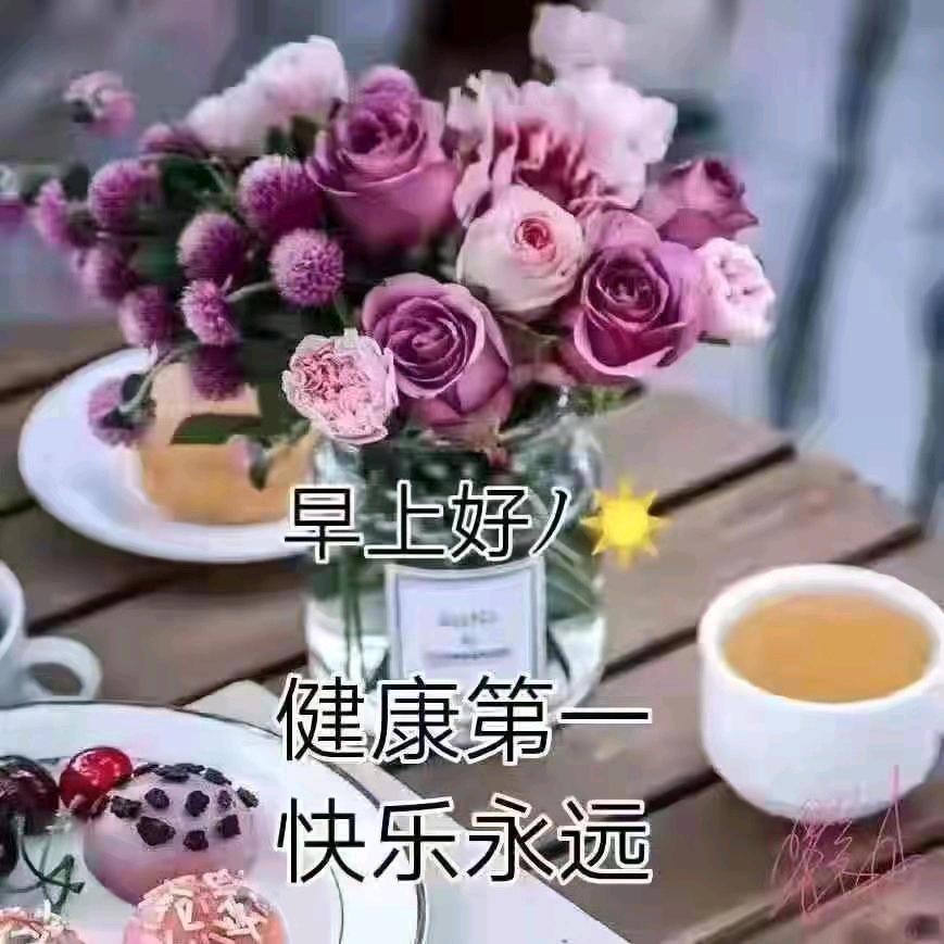 人生若只如初见