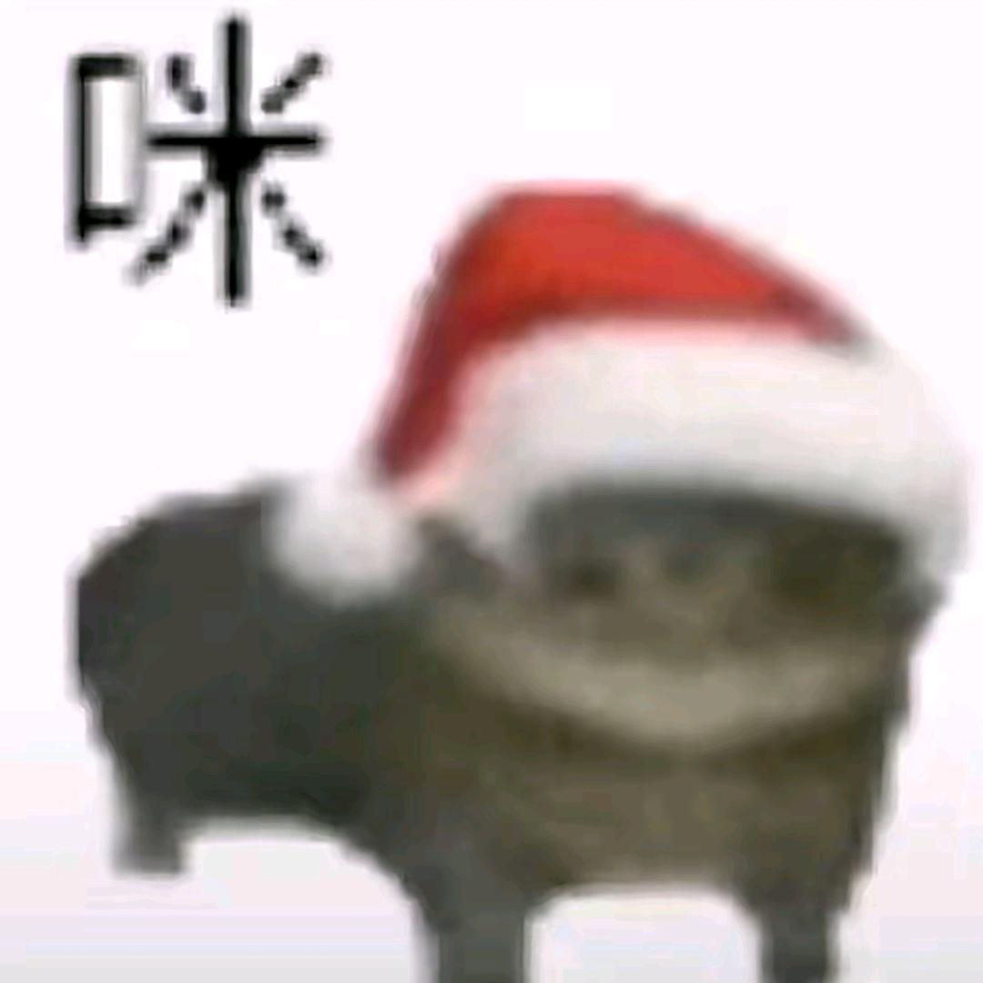 哈基晟