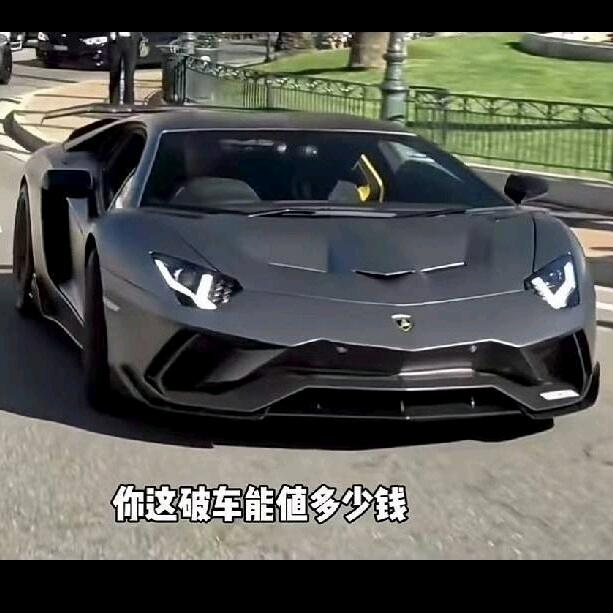 🦋🌹十七公分最深爱🌹