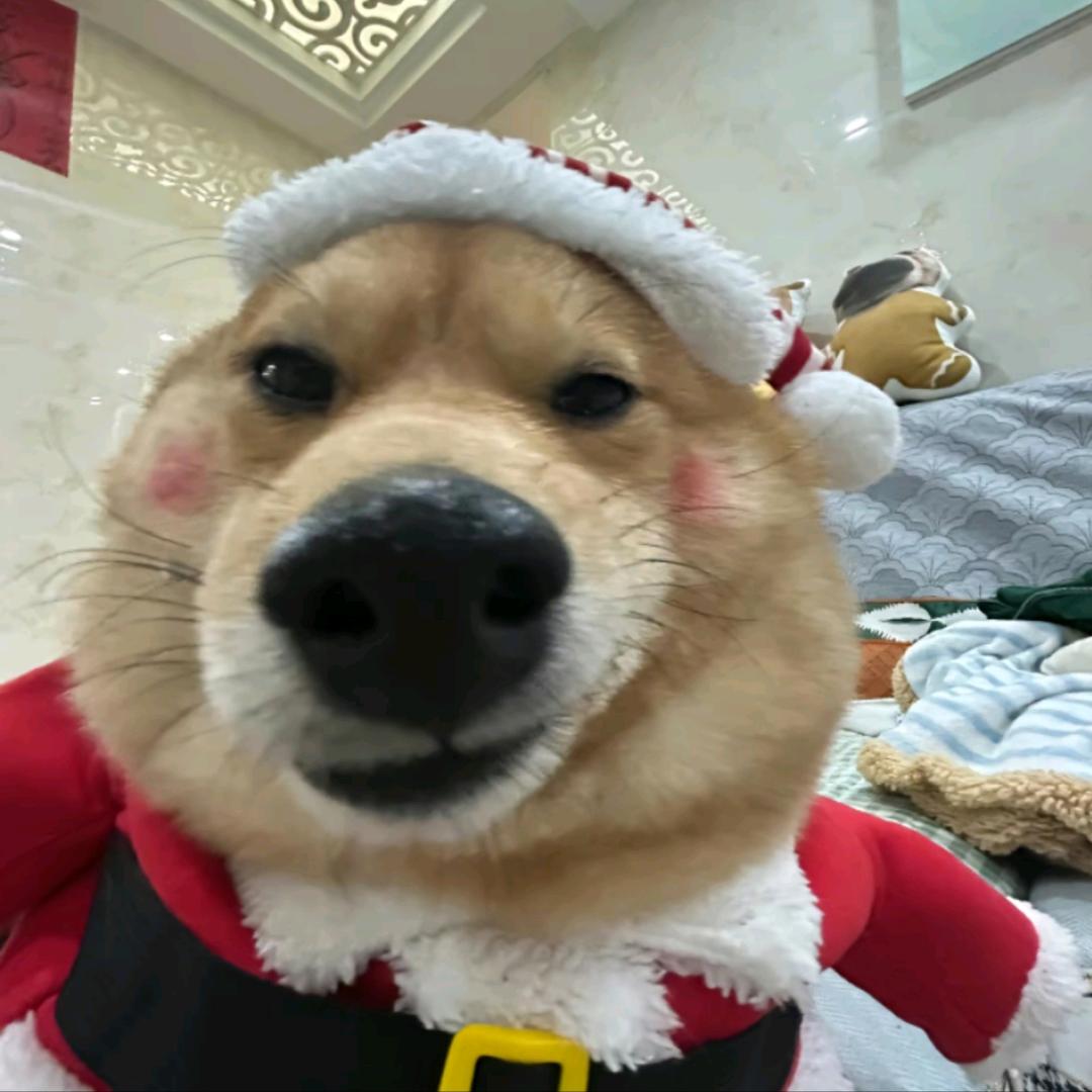 小羊同学