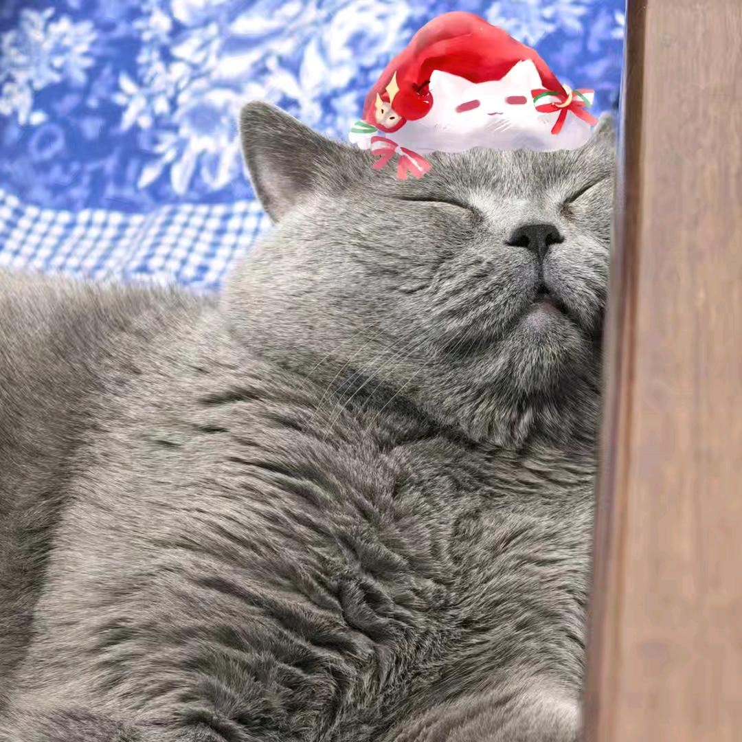 小年糕咿呀咿🧂