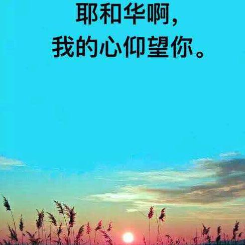 蓝弟兄