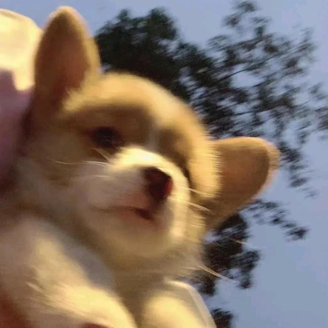 西华师大杉杉学姐