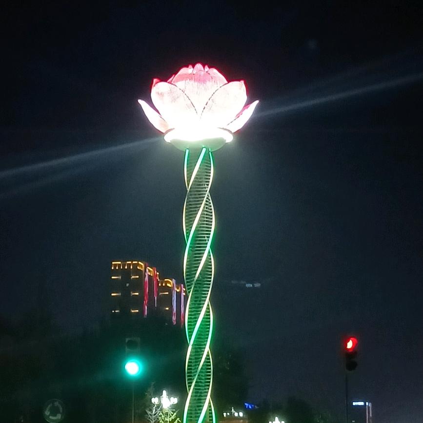 随心而安