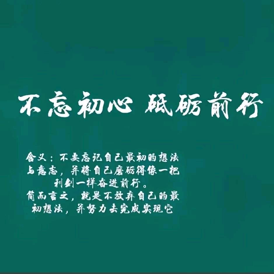 齐记临沂鲜炒鸡