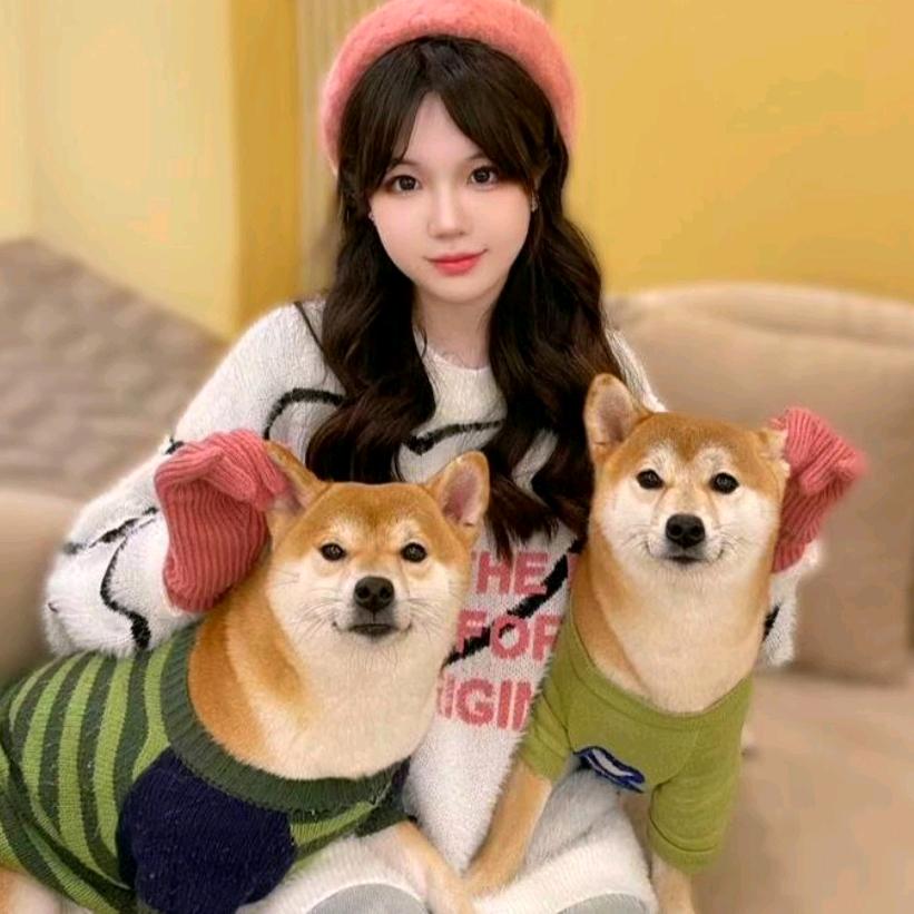 它它派对·Rua羊驼·猫咖·狗咖官方号