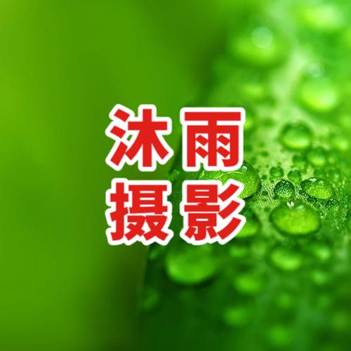 沐雨摄影