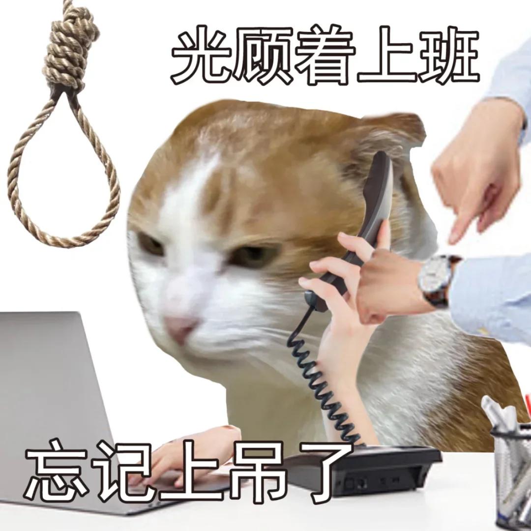 都想噶（打工版）