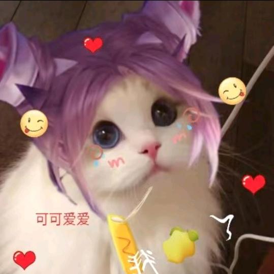 ～阿尔卑斯～🕊️