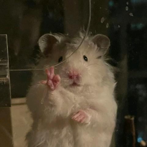 䥯畝