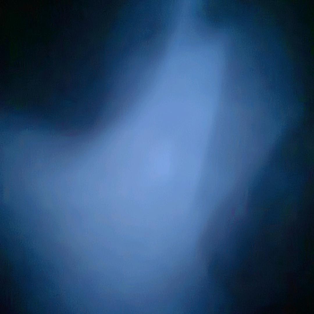 小可爱哈皮吗