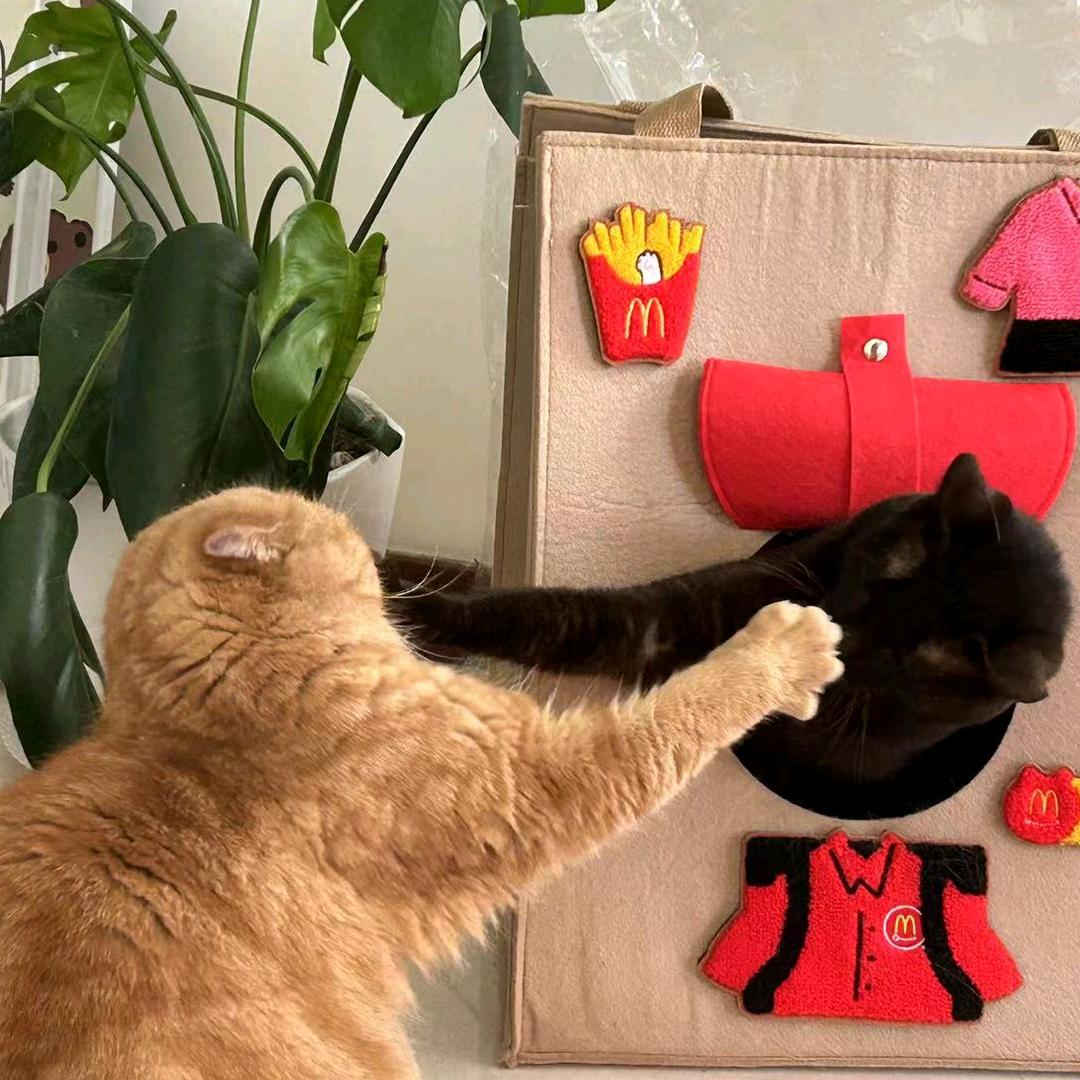 重生猫猫之我在抖音卖中古