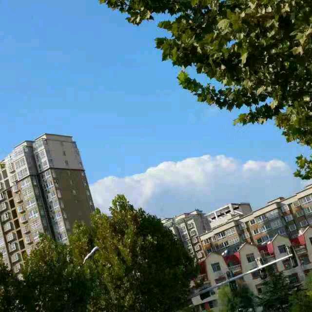 平平淡淡