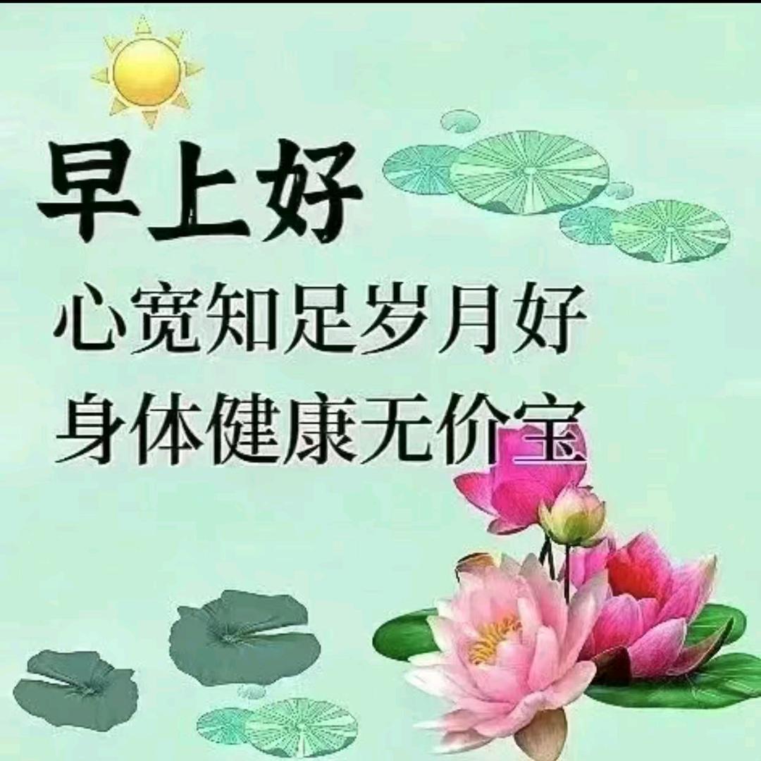 丽丽好物分享