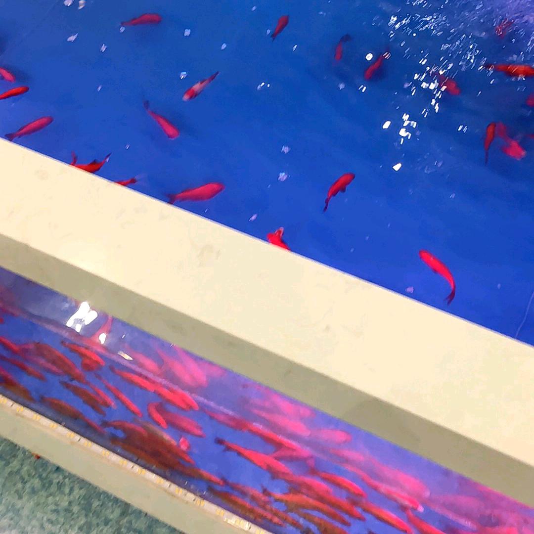 千祥云集知我心