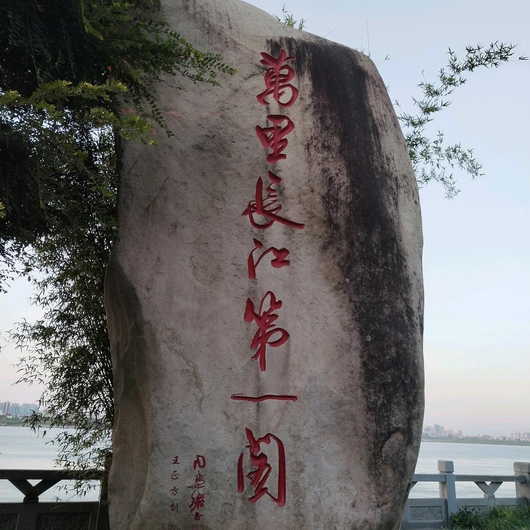 㜂孞