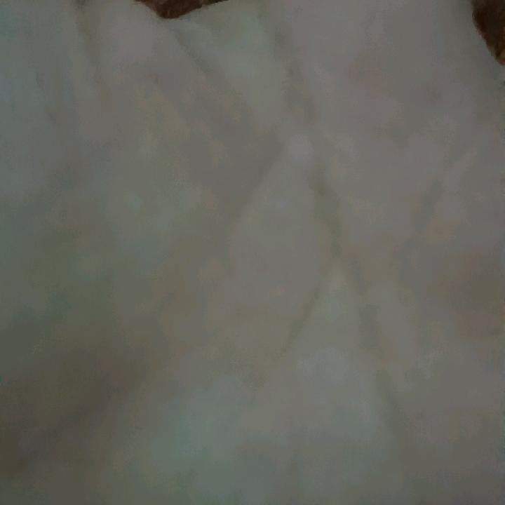 左长中