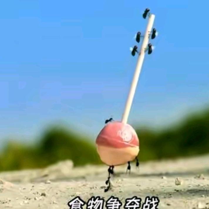 星 尘3