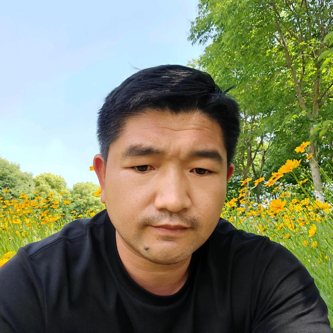 金飞虹