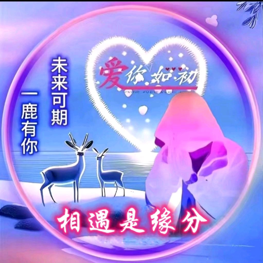 ༄ꦺᩚ꯭💖相遇ཀ是꧉ꦿ🌹缘分✨᭄ོ