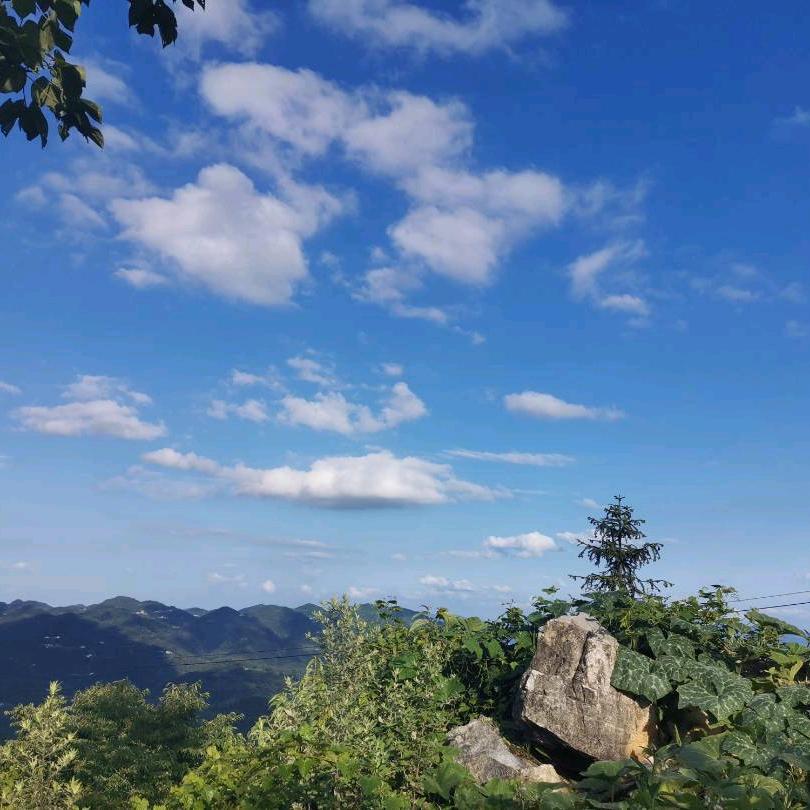 果尔水产（田螺  石螺批发零售）