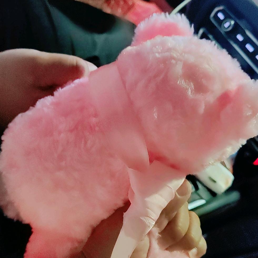 杨贵珍