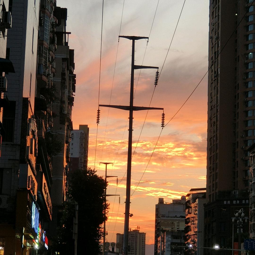 风禾