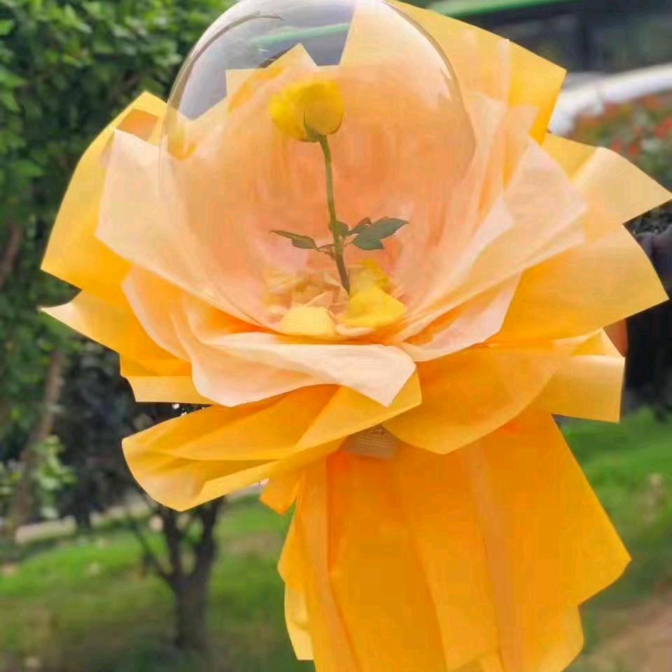 南阳煜伟花季月