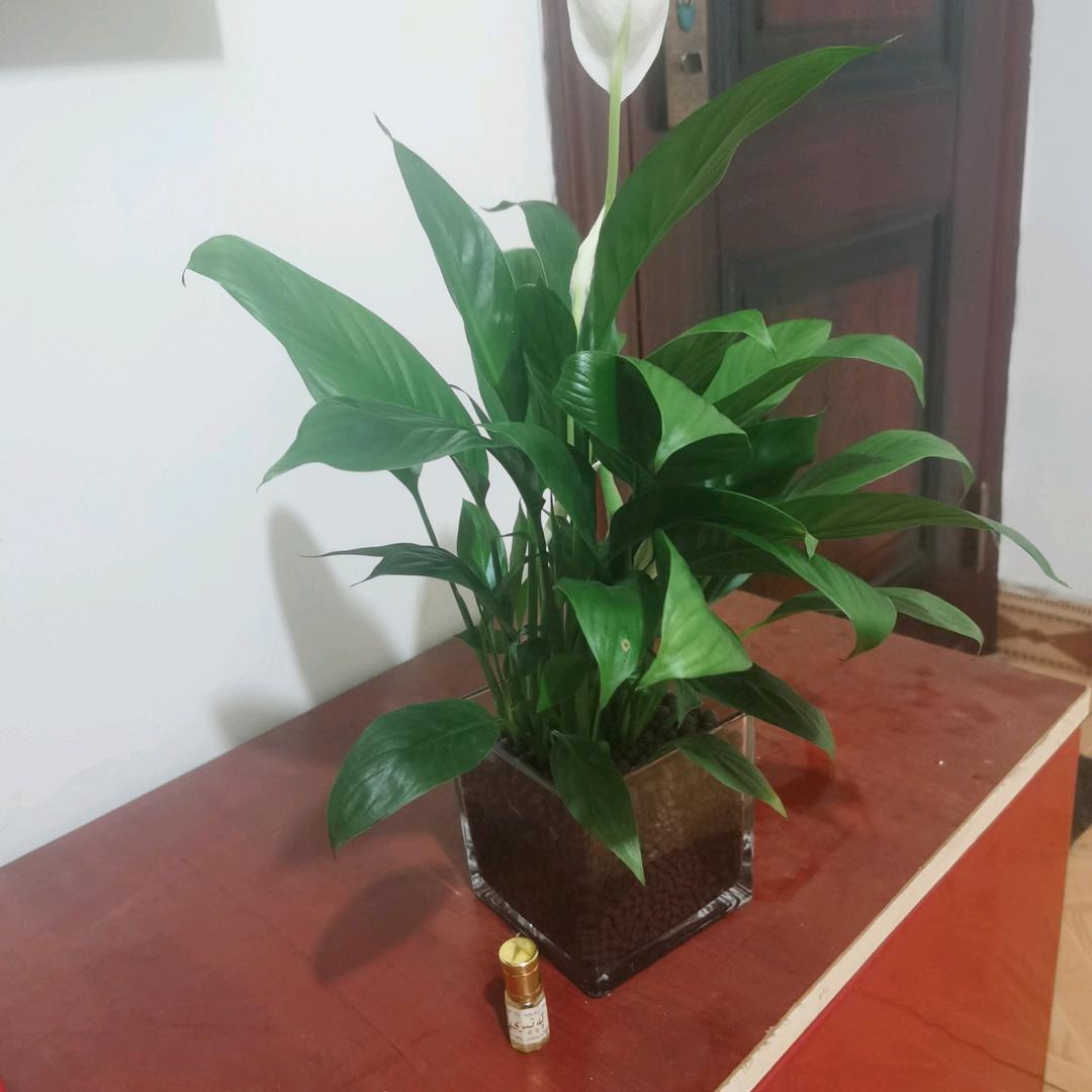 幸福.💞🕊
