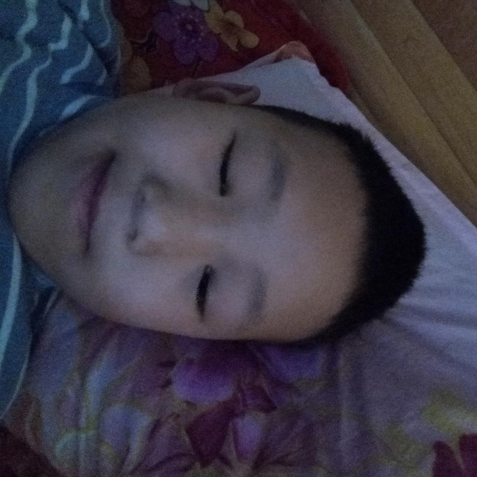 李心东