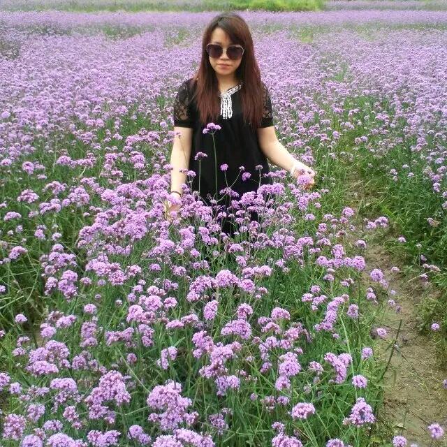 天青色🍀等烟雨